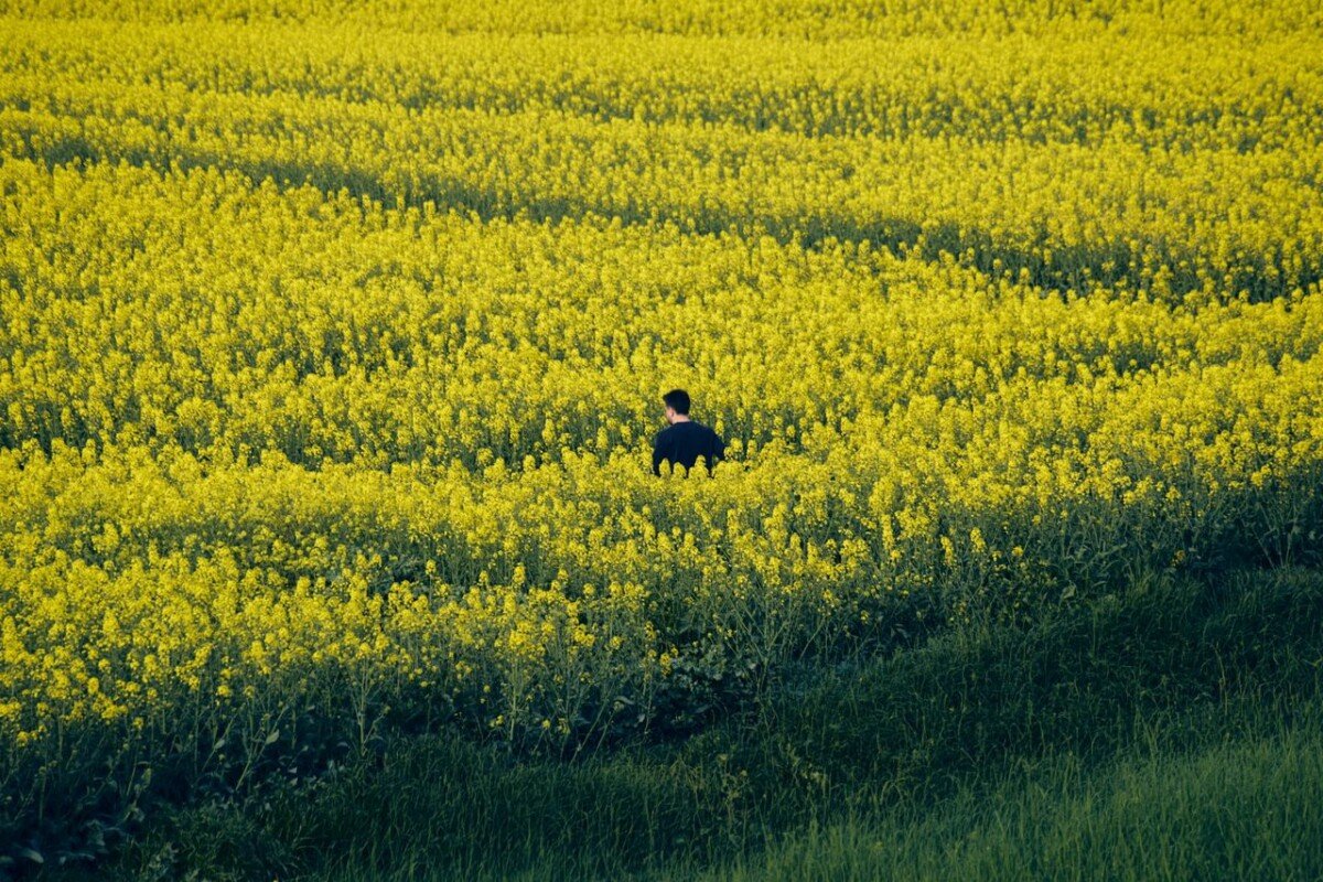 l can ‘t find a job in my field
